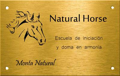 Bronce grabado